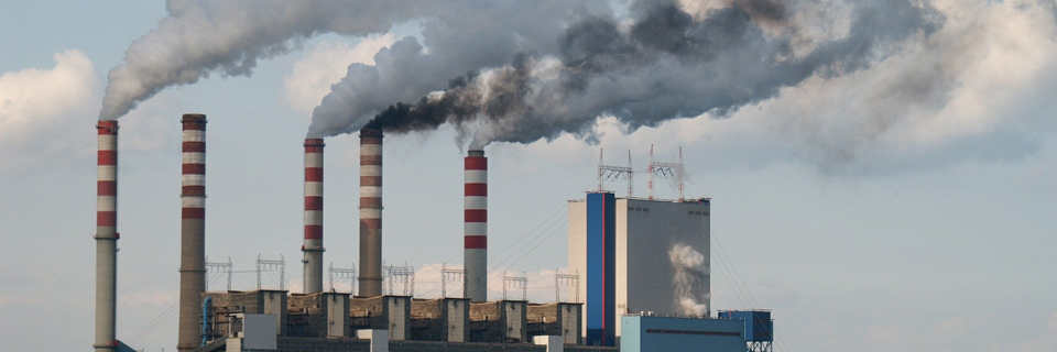 Fransk på Studieskolen